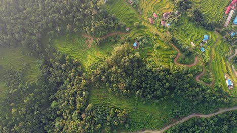 Topdown-aerial-over-the-natural-agricultural-hillsides-of-Nepal