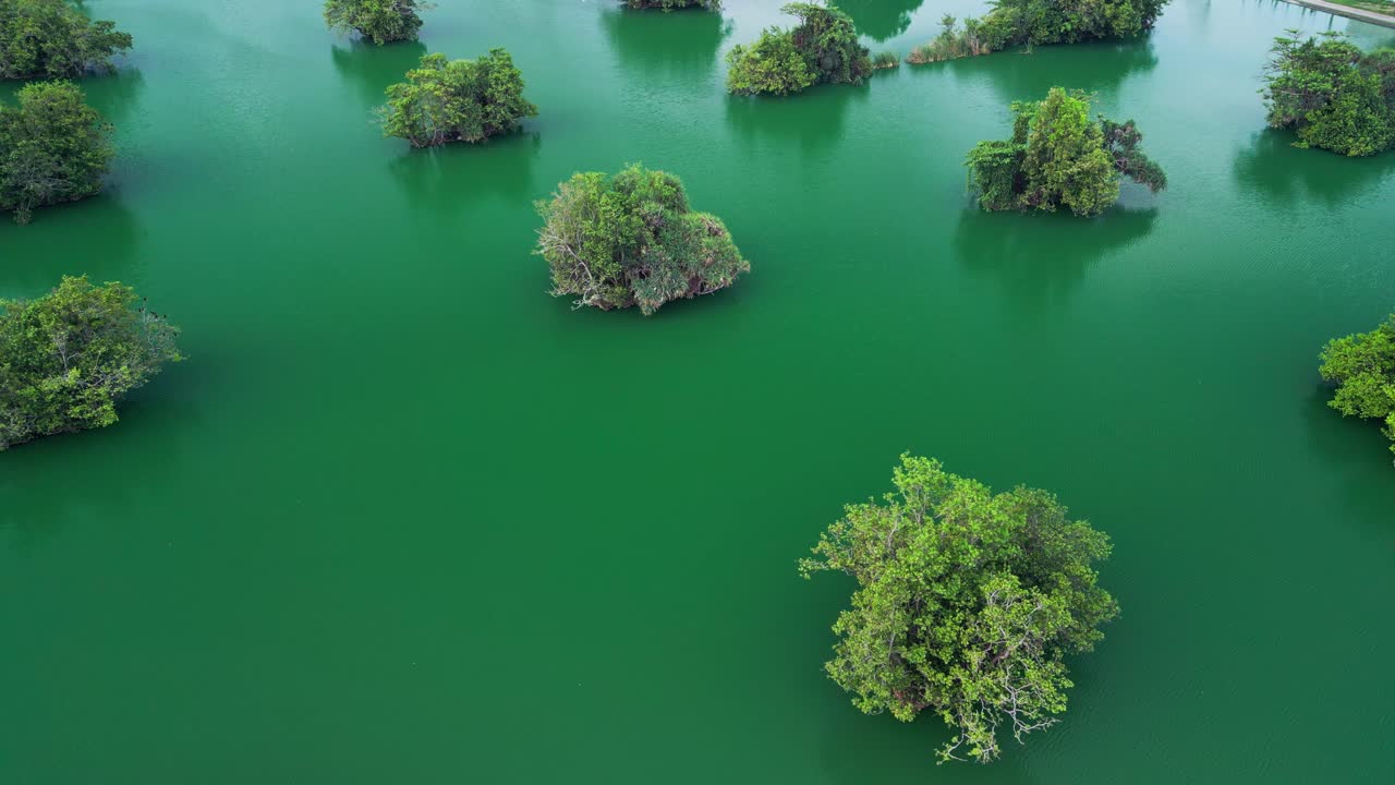 Drone view of a tropical reserve showcasing forested mini islands surrounded by green water, capturing breathtaking conservation land with natural balance and rare serenity