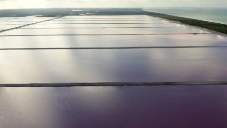 Still-pink-salt-ponds-along-caribbean-coastline-in-Yucatan,-Mexico