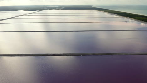 Todavía-Estanques-De-Sal-Rosa-A-Lo-Largo-De-La-Costa-Caribeña-En-Yucatán,-México