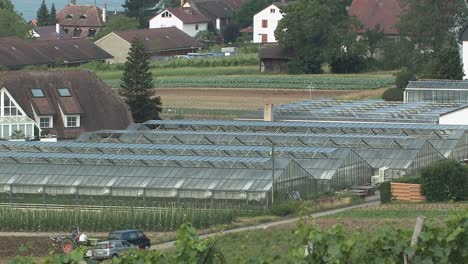 Gewächshaus-Am-Bodensee-In-Deutschland