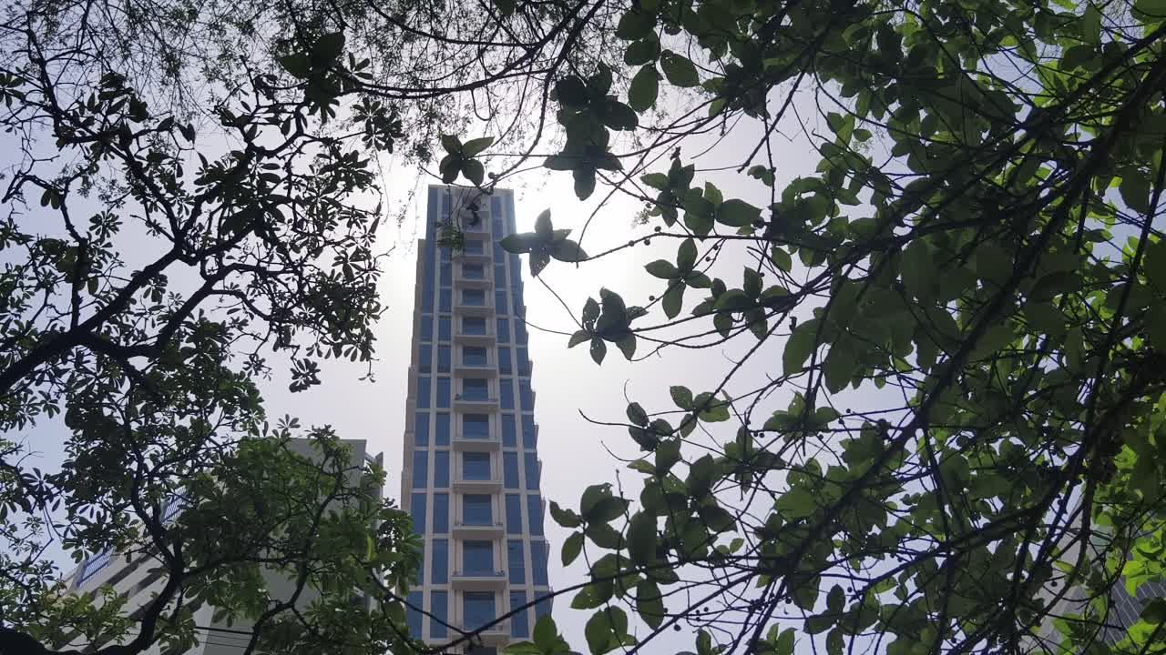 Una ripresa dal basso di un moderno grattacielo a Calcutta, India, visto attraverso una chioma di foglie verdi. Utile per temi di sviluppo urbano e sostenibilità