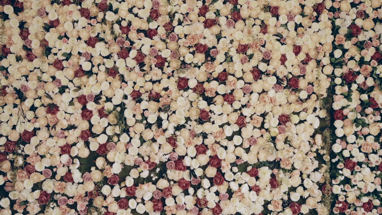 분홍색과 색 장미의 혼합물로 울창하고 활기찬 꽃의 카을 만드는 밀집된 꽃 배열