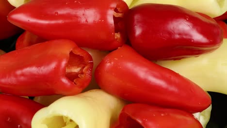 yellow and red bell peppers. extrem close-up. healthy food concept. preparing vegetable for salad. loop motion. side view. rotation 360.