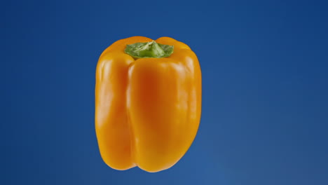 Close-up-of-Orange-Bell-Pepper-on-a-Blue-Screen,-Chroma-Key