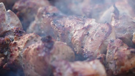carne de cerdo marinada con especias y hierbas en carbón ardiente en la rejilla de barbacoa, humo en cámara lenta