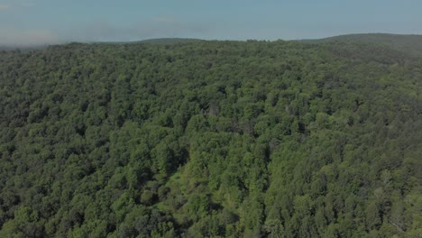 stationary drone shot of the side of a mountain in the catskill mountains of new york state