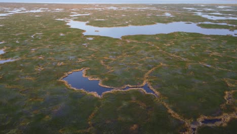 campos de juncos en el lago titicaca. disparo de dron