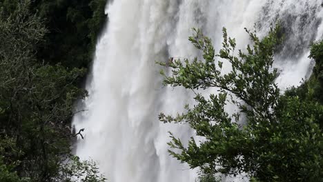 Toma-Estática-De-Un-árbol-Que-Se-Mueve-Con-El-Viento-Frente-A-Las-Cataratas-De-Lisboa