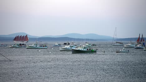 sail boats enter and exit marina around boats tethered to buoys