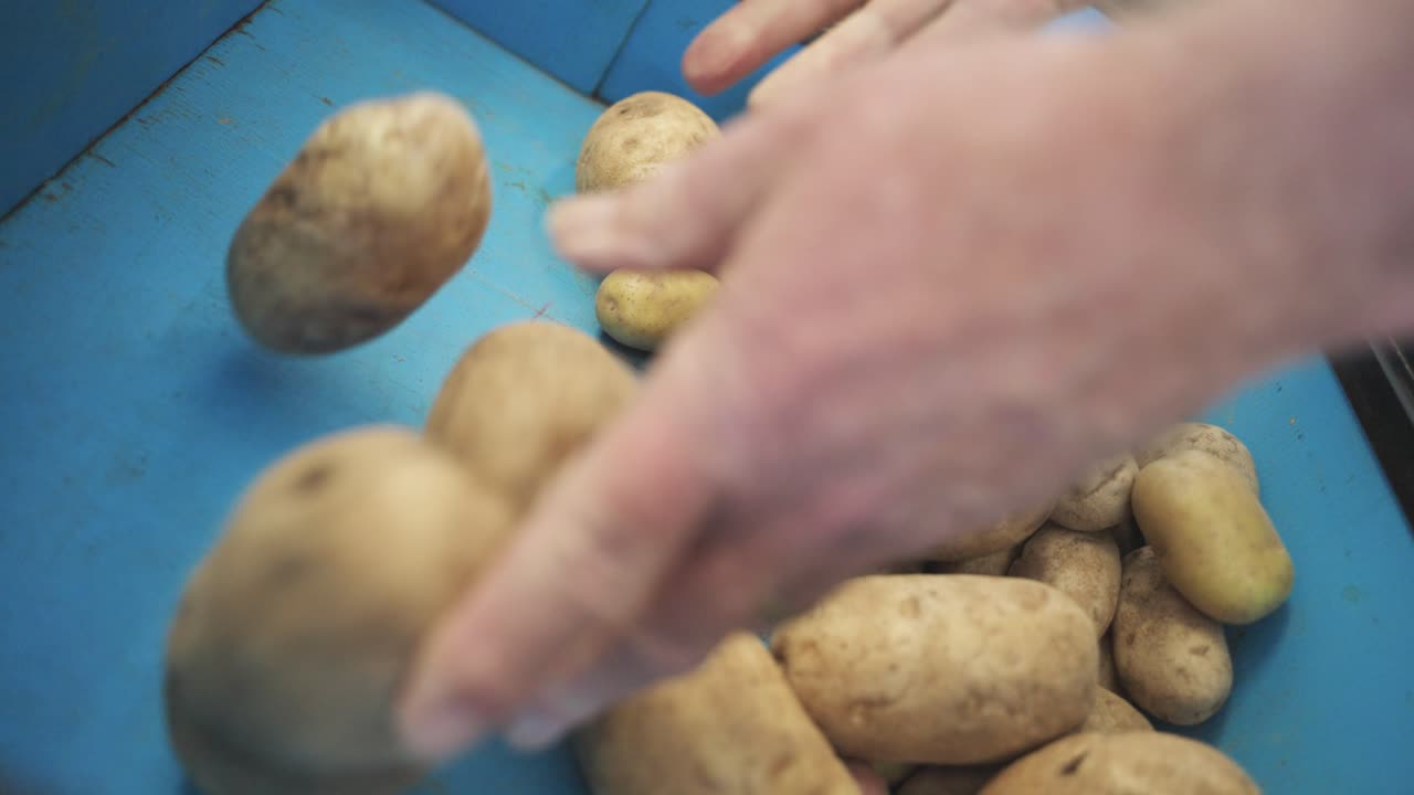 Grocery store employee stocking shelf with potatoes in Minnesota, USA.
