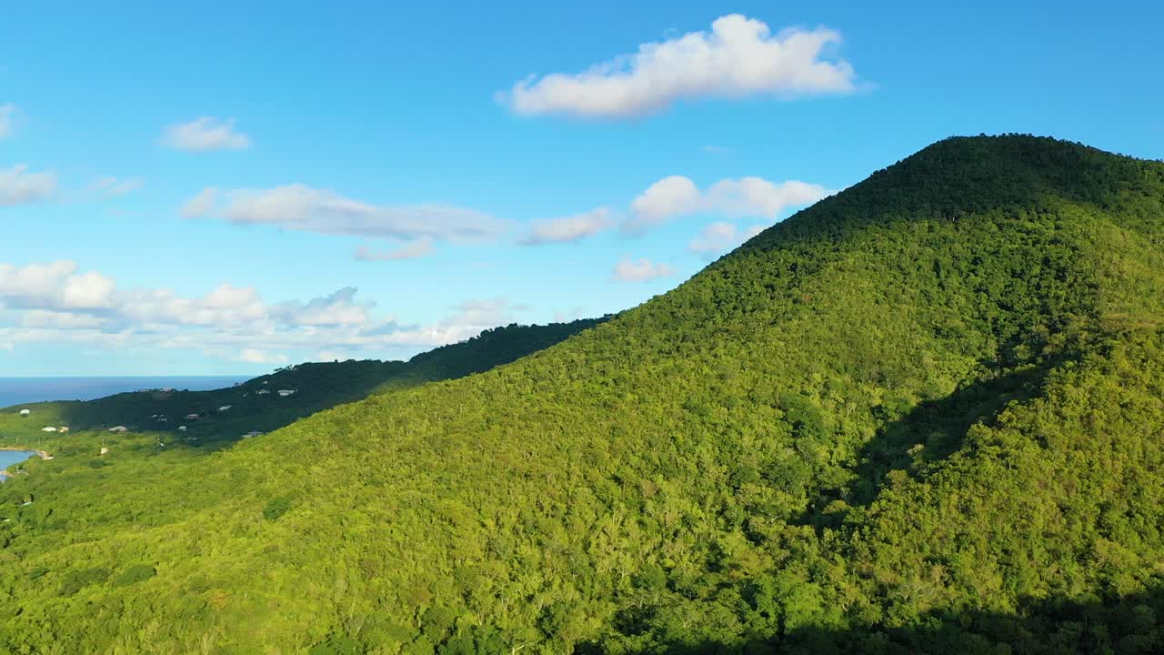 Midday drone footage above St. Croix, USVI, showcases vast tropical forest stretching over rolling hills, where thick greenery creates a stunning natural mosaic under bright island sun