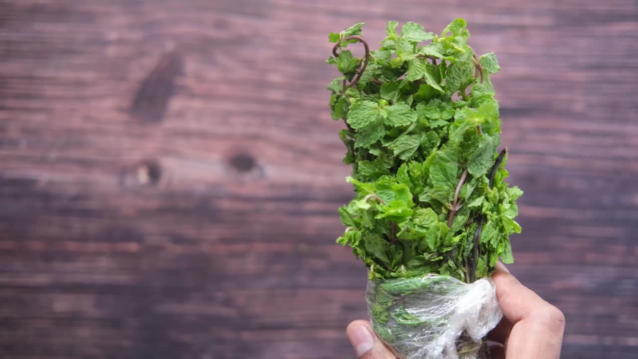 ramo de menta fresco