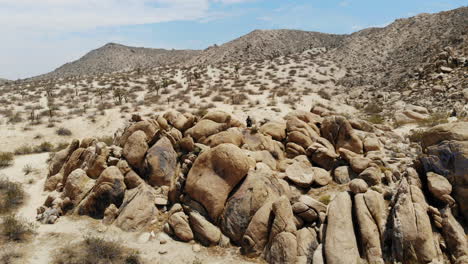 Flying-away-from-a-silhouette-standing-on-a-large-pile-of-boulders-in-the-middle-of-a-rough-desolate-desert