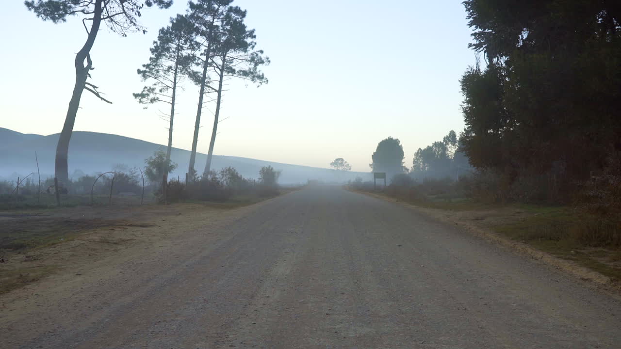 Foggy Morning on a Dirt Road in the Countryside