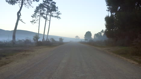 foggy morning on a dirt road in the countryside