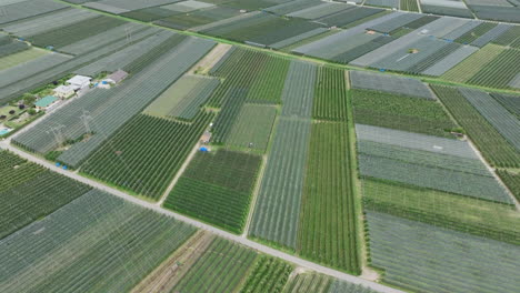 aerial footage flying over the grappa vineyards and industry and agriculture in northern italy.