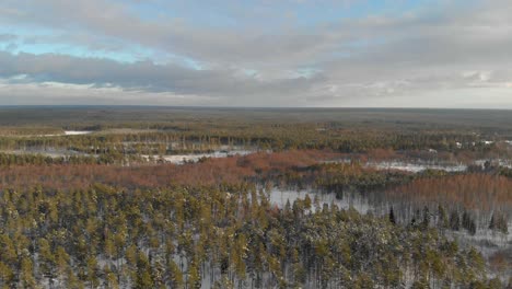 Blauer-Himmel-über-Einem-Wunderschönen,-Verschneiten-Wald-Im-Kurzland-Lettland