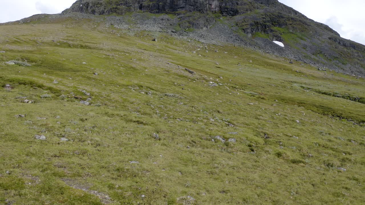 Valle verde di una grande montagna