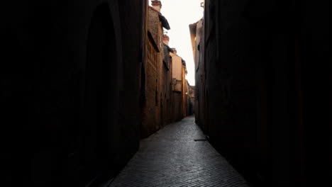 dark and narrow cobblestone alleyway with old european buildings