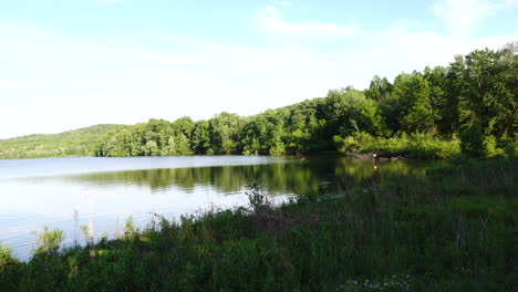 Relajarse-Junto-A-Un-Lago-En-Una-Hermosa-Tarde-De-Verano