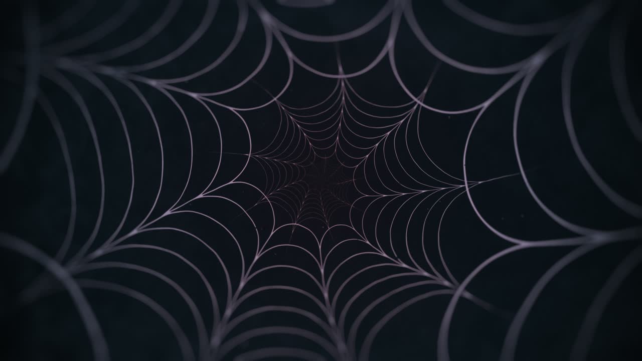 Flying Through Dark Cobweb Spiral Tunnel