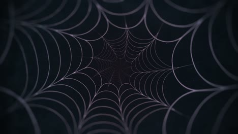 flying through dark cobweb spiral tunnel