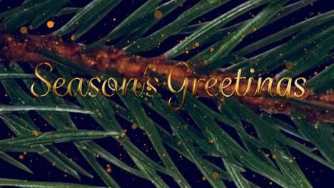 animation of seasons greetings text over fir twig