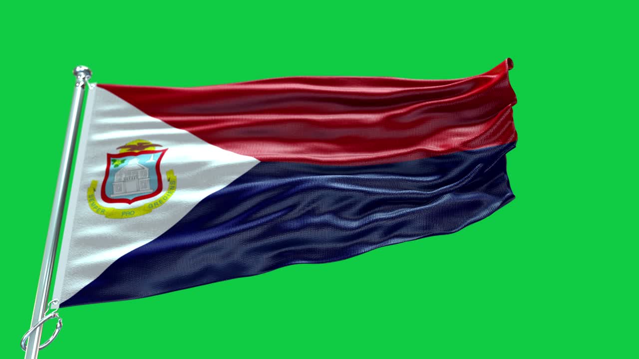 4k bandera muy detallada de san martín - bandera de san martín alto detalle - bandera nacional patrón de ondas de san martín elementos en bucle