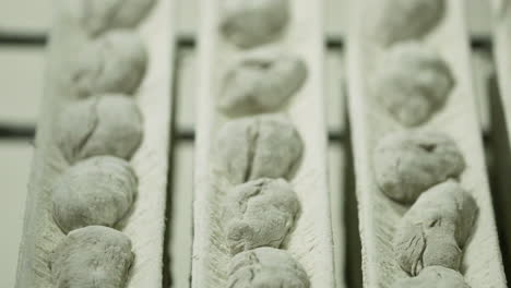 Proofing-Of-Small-Balls-Of-Dough-Placed-In-A-Long-Non-Stick-Pan-And-Spread-With-Flour-Before-Baking---High-Angle-Shot