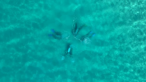 Looking-down-at-four-scuba-divers-underwater-with-bubbles-breaking-the-ocean-surface