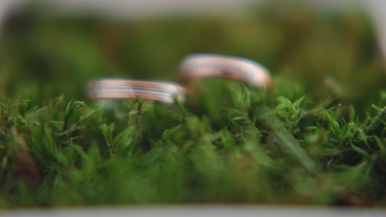 Glazing wedding rings on moss covered surface closeup
