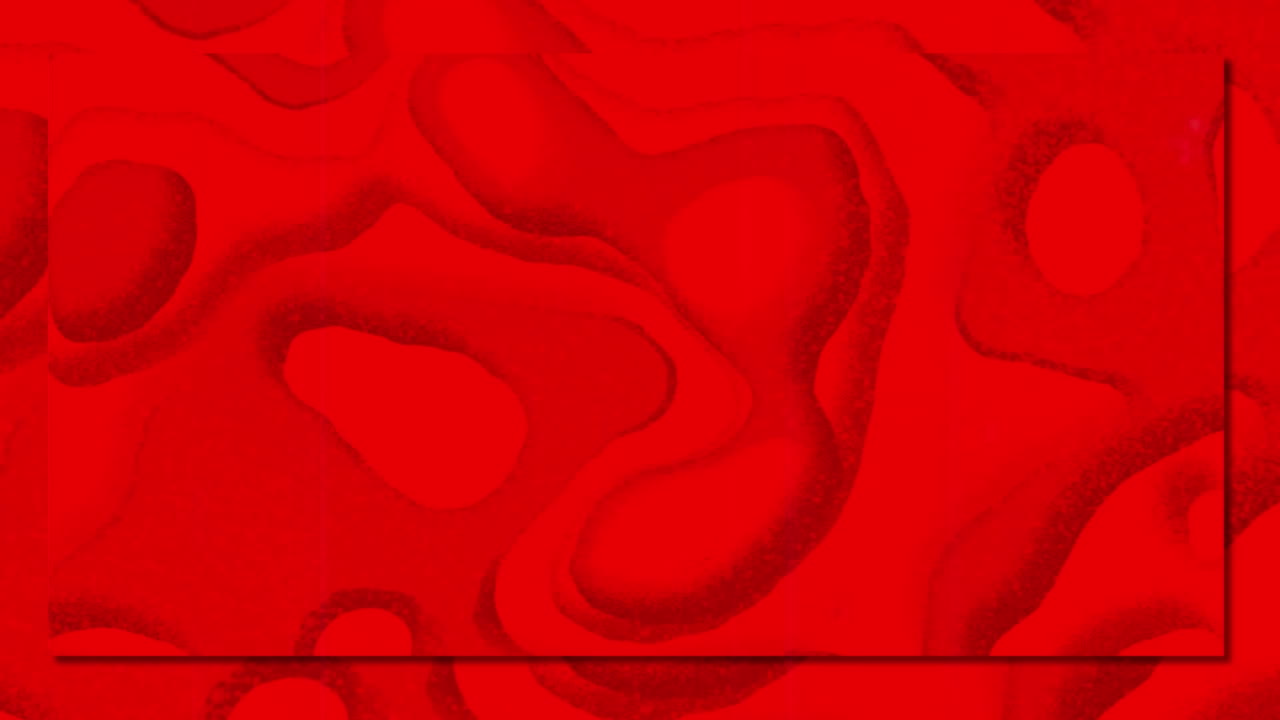 반이고 다채로운 액체 배경 위에 새로운 컬렉션 텍스트의 애니메이션