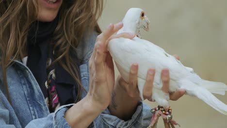 mujer sosteniendo paloma blanca en sus manos, mujer ama a la paloma en su mano