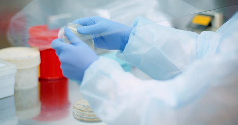 scientist analyzing petri dish at laboratory