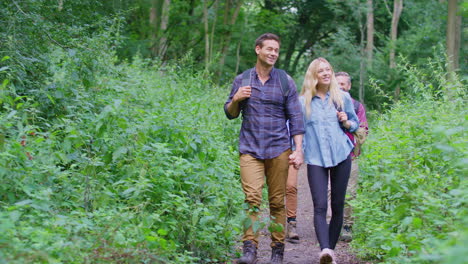 parejas maduras y de mediana edad en el campo caminando juntos por el camino a través del bosque