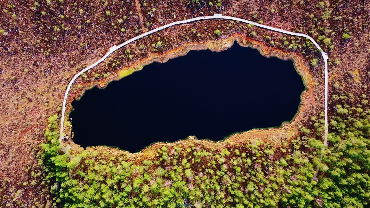 Symmetrical overhead composition of Kalnansu bog lake ringed by wild nature