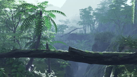 camino en la jungla de malasia