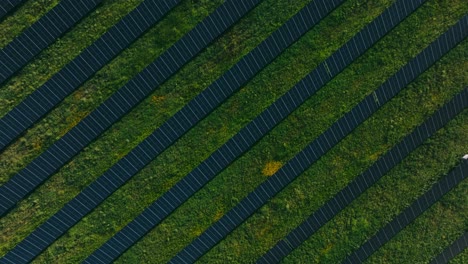 Top-down-drone-shot-of-the-biggest-solar-farm-in-Sweden-outside-Strängnäs,-Stockholm