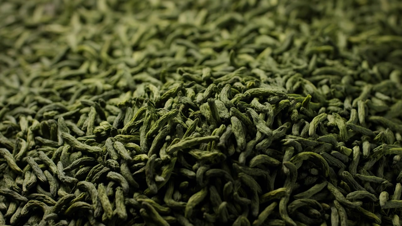 Settled pile of loose dried green tea leaves fills wide horizontal view while shifting focus moves between foreground and midground clusters, revealing twisted textured layers, matte surfaces, soft