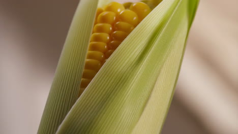 close-up of fresh corn on the cob with husk