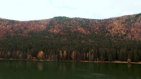 Thick-Vegetation-At-The-Shore-Of-The-Crater-Lake-Sfanta-Ana-During-Autumn-Season-In-Harghita-County,-Romania
