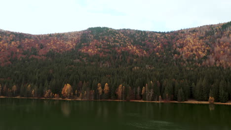 Espesa-Vegetación-En-La-Orilla-Del-Lago-Del-Cráter-Sfanta-Ana-Durante-La-Temporada-De-Otoño-En-El-Condado-De-Harghita,-Rumania