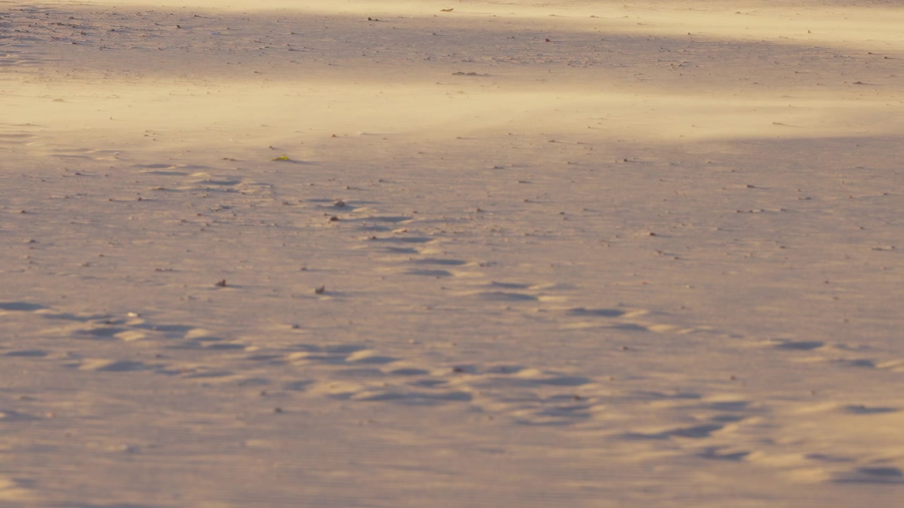 Strandsand, der flyver med vinden.
