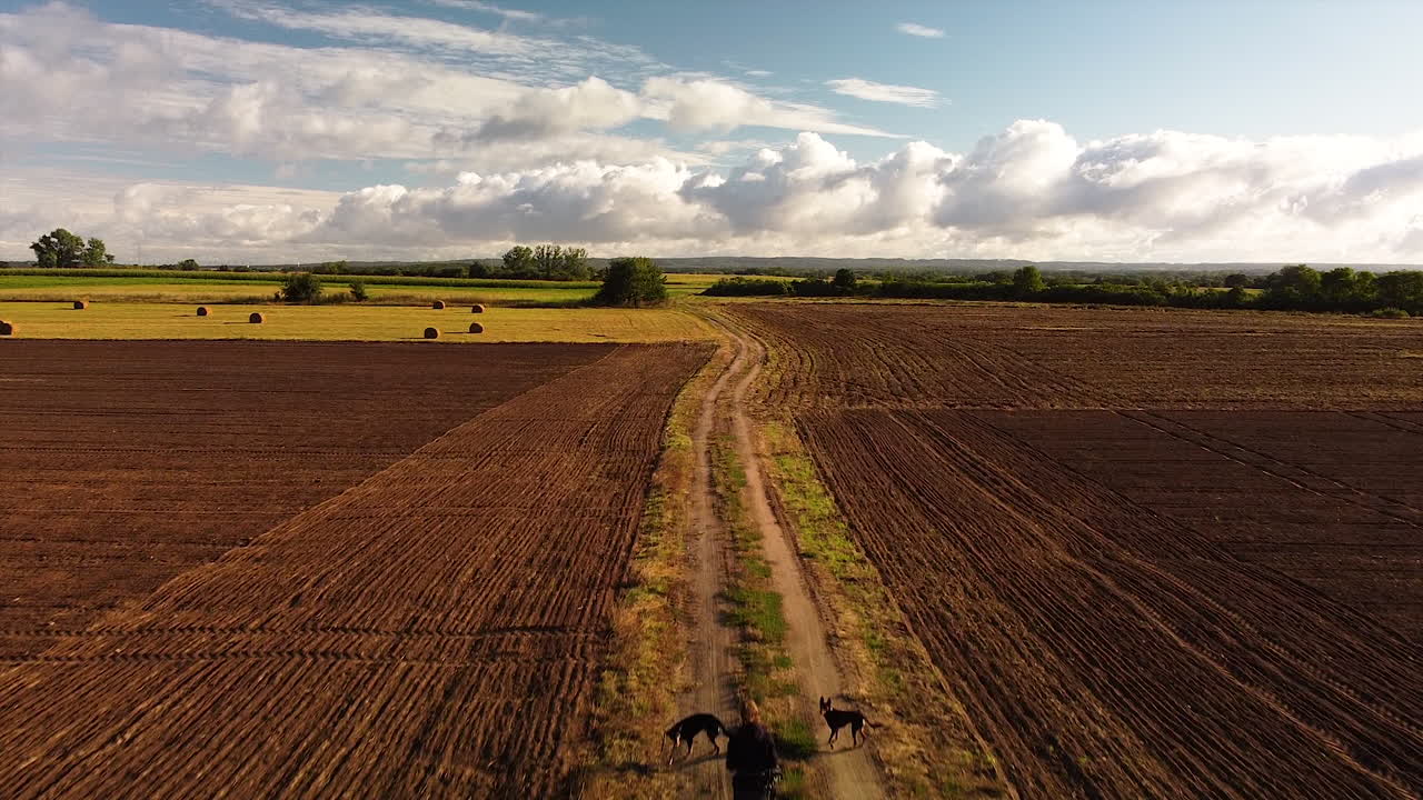 Über einer Person fliegend, die zwei Hunde durch die friedliche Landschaft führt