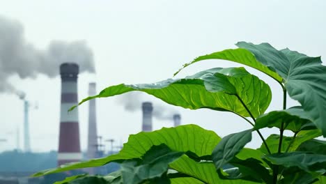 green leaves sway in the wind, contrasting with the smoking industrial chimneys in the background