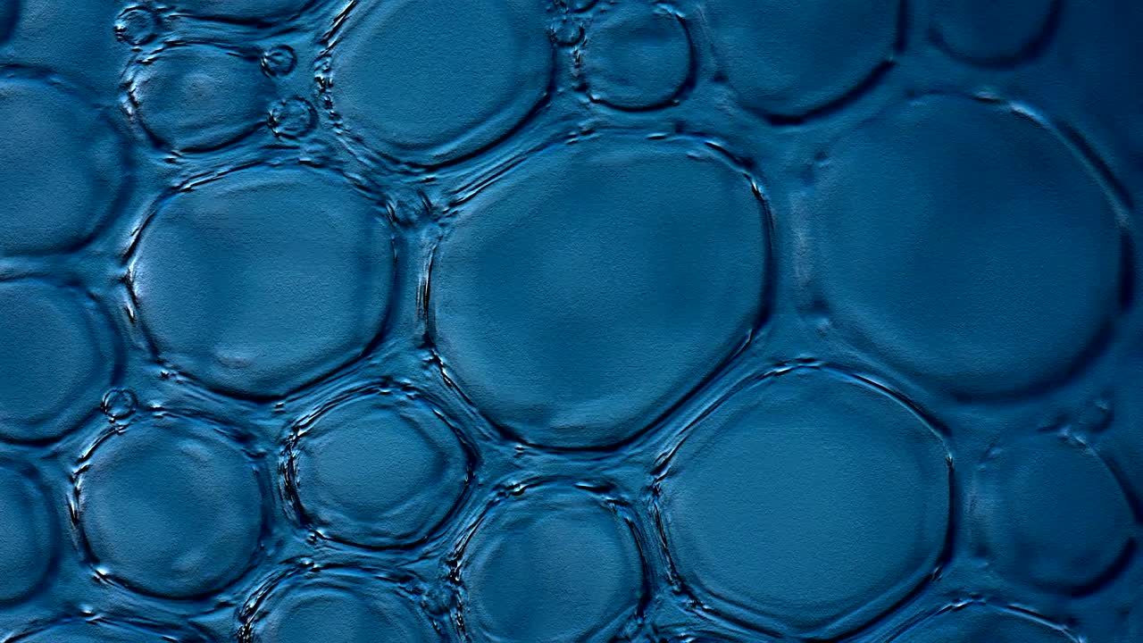 burbujas de aire, burbujas de jabón, tensión superficial del agua, arco iris, burbullas de jabón deslumbrantes, reflejos de luz multicolores, efectos de video, fondos, 4k