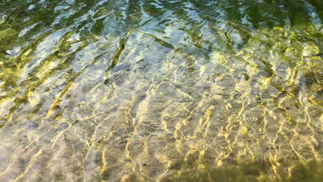 View-of-a-tranquil-clear-river-water-stream