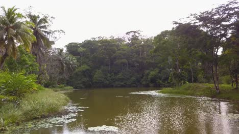 Aerial-drone-shot:-flying-over-a-lake-in-Costa-Rica,-discovering-the-lush-vegetation