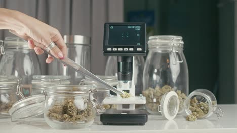 cannabis microscopy and analysis